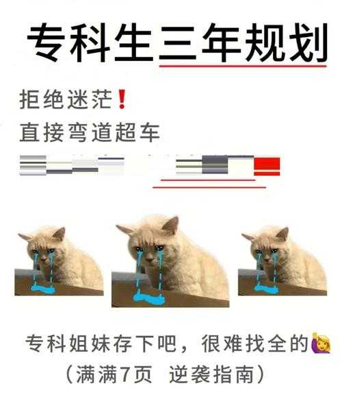 论文写作加速器：什么是论文集，学术菜鸟如何用它弯道超车？