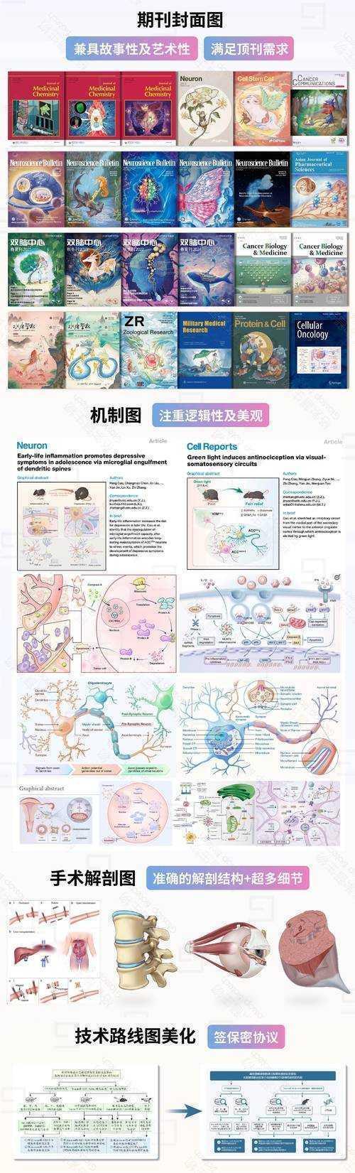 当学术邂逅美学：论文插图设计的科学突围战
