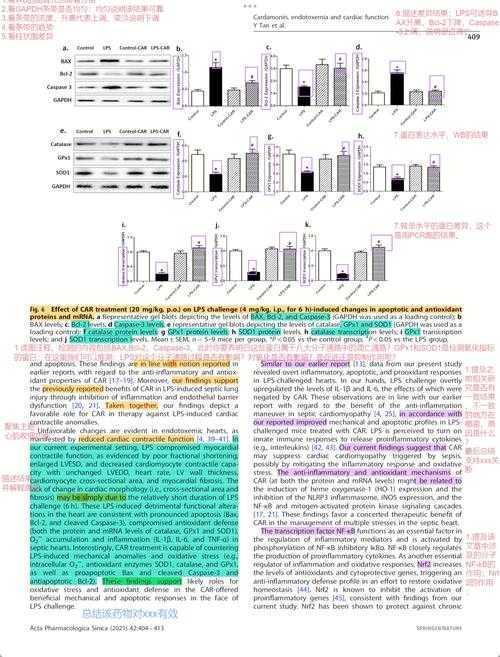 科研新手必看：如何查询sci论文的完整指南与实战技巧