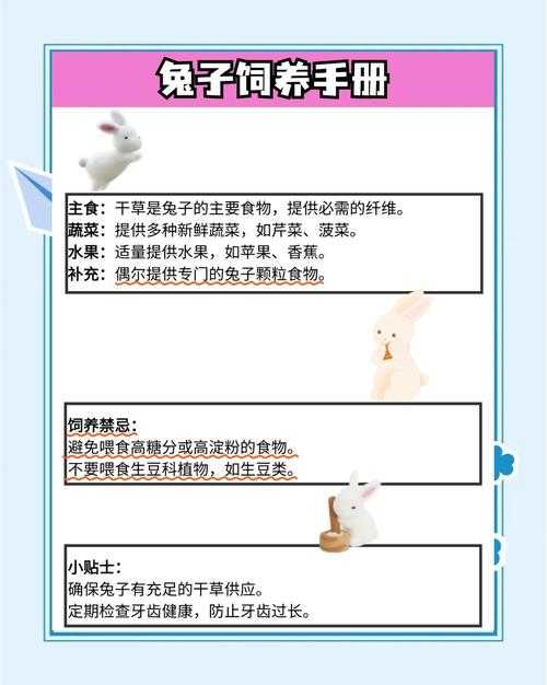 研究宝妈必看！兔妈妈的妈怎么写论文？保姆级攻略来了