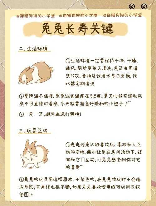 研究宝妈必看！兔妈妈的妈怎么写论文？保姆级攻略来了