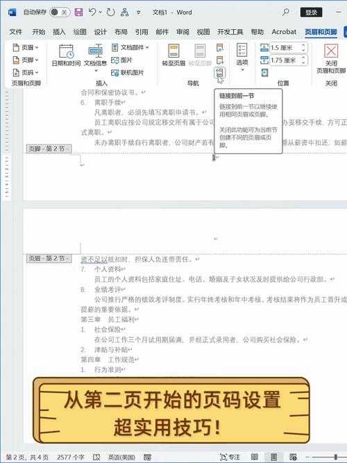 搞定毕业论文排版？从页脚开始！资深导师的WPS页码设置指南
