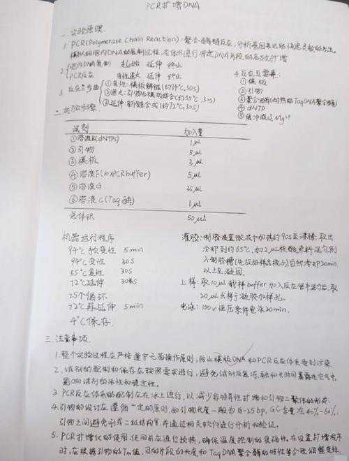 当你的实验数据堆成山时，别慌！论文中的结果怎么写才能征服审稿人