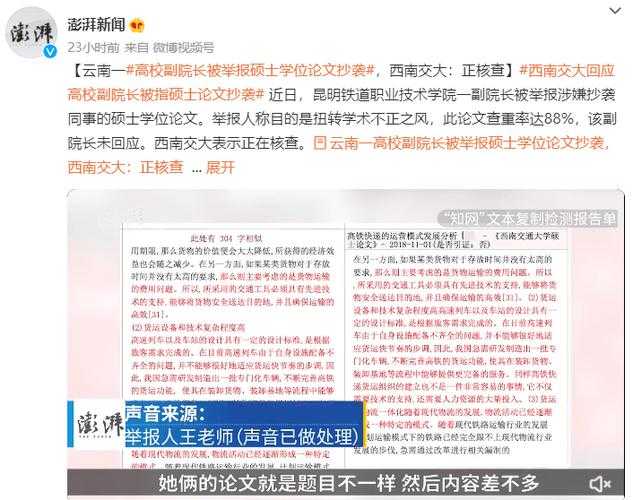 别让细节毁了你！资深审稿人揭秘“如何查论文抄袭率”的正确姿势