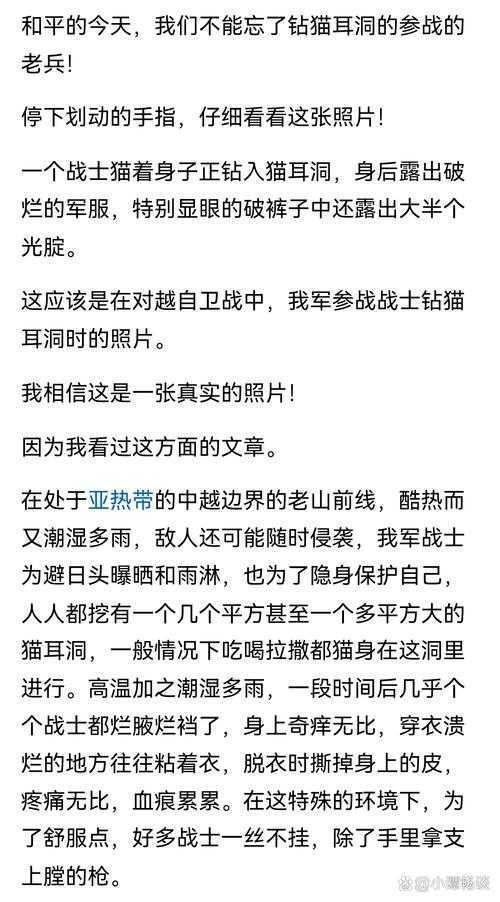 被忽视的和平工具:停止内战发表什么论文才能促进国家重建?