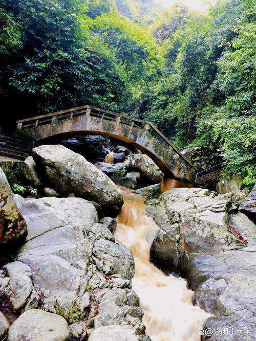 解密科研避坑指南:万方论文检测怎么用的完整实践手册