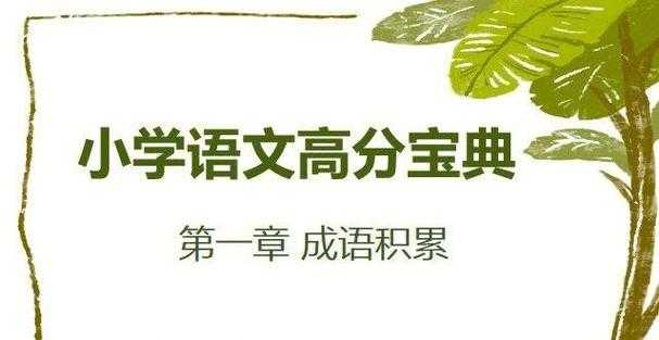 论文写作的基石：论文的参考文献是什么？揭开这个隐藏宝藏！