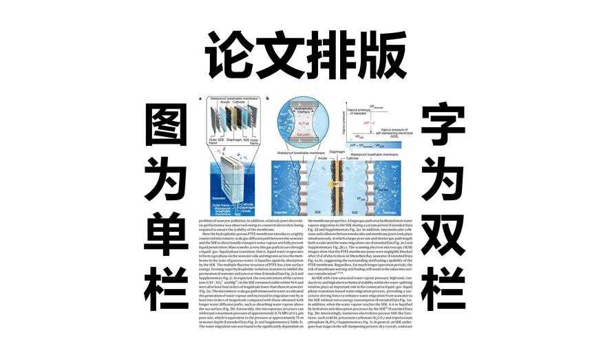 90%的学者都忽略的细节:什么是论文排版?看完这篇少走3年弯路