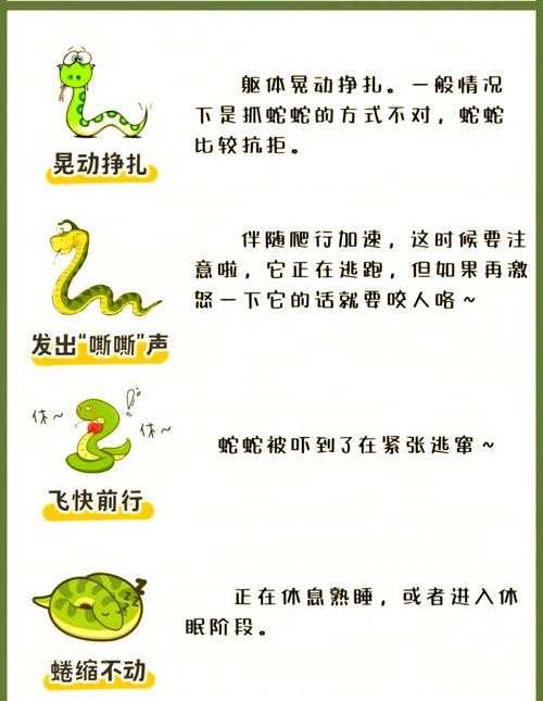 蛇口的口怎么写论文步骤