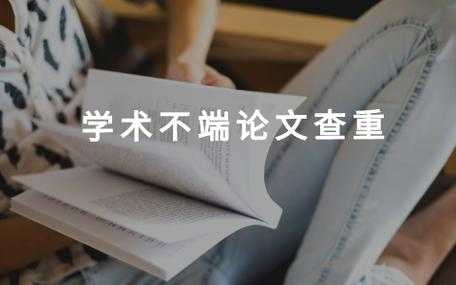 淘宝文翼多论文服务评测:学术外包的机遇与风险