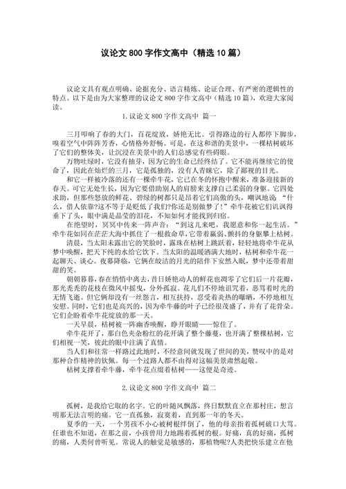 高中如何写好议论文