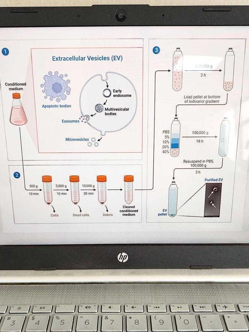 科研加速器：什么是论文查看？解锁学术效率关键