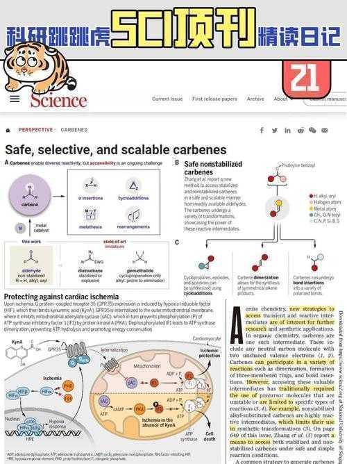 揭秘：什么是sci收录论文？让你轻松驾驭国际学术舞台！
