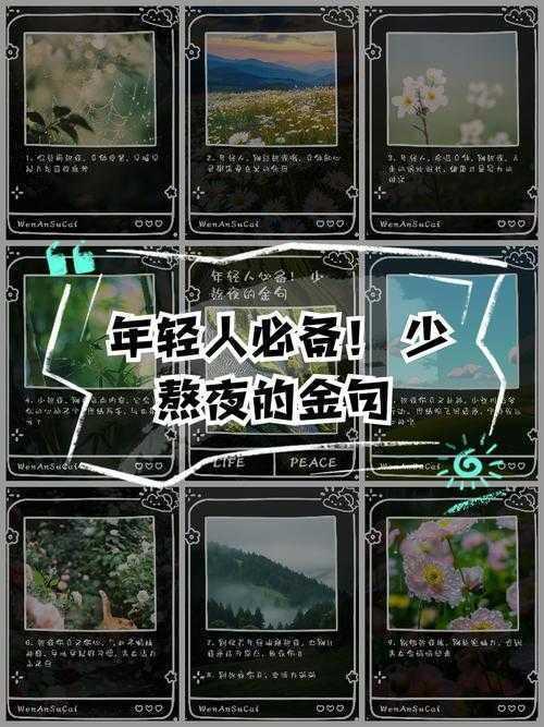 别再熬夜了！悔毁灭的怎么写论文软件，你的学术救星！