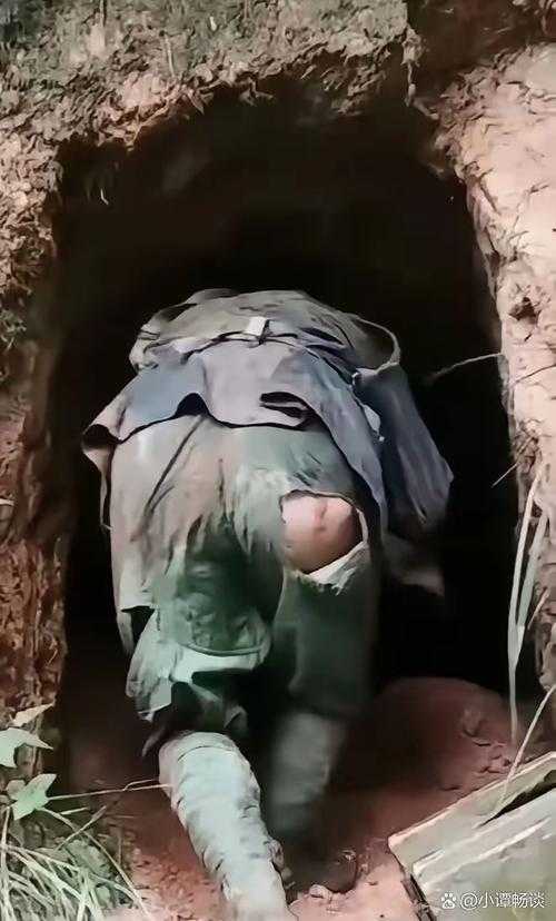 从初稿到见刊:一位学术老兵的英文论文发表实战指南