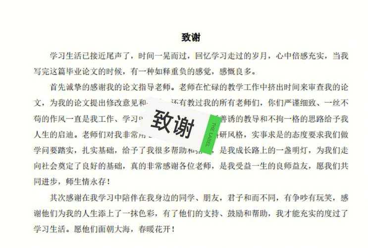学术写作中的温馨艺术：如何感谢老师修改论文与导师关系的深度优化