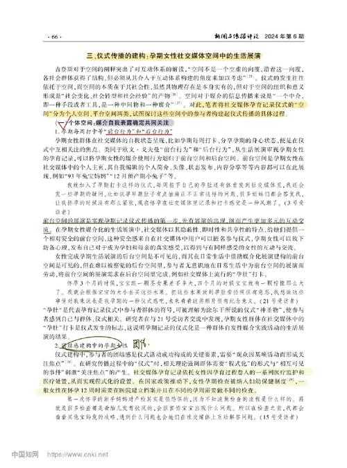数字时代的文化密码：论文艺女青年如何重构身份认同与社交实践