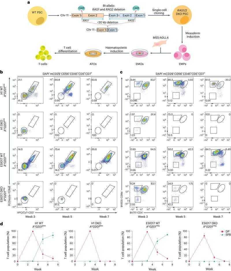突破发表瓶颈！医学影像论文怎么写？临床医生也能掌握的SCI秘籍