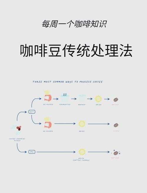 咖啡凉了？别急！如何审论文才能让编辑连连点头？