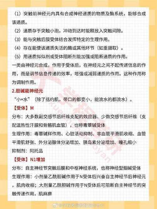 解密学术黑话：什么是精神胚胎论文？从理论到实操全解析