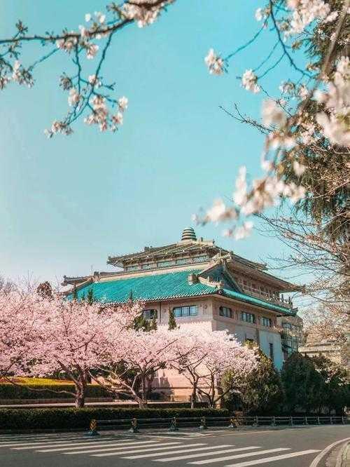 当学术遇见樱花：日语论文写作的隐藏价值与实战指南