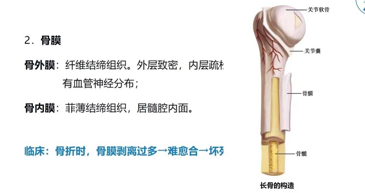 从零开始拆解：一篇合格论文的骨架到底长什么样？