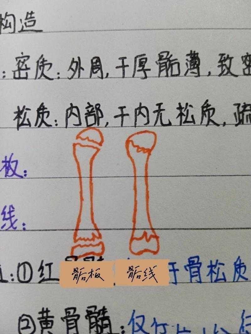 从零开始拆解：一篇合格论文的骨架到底长什么样？