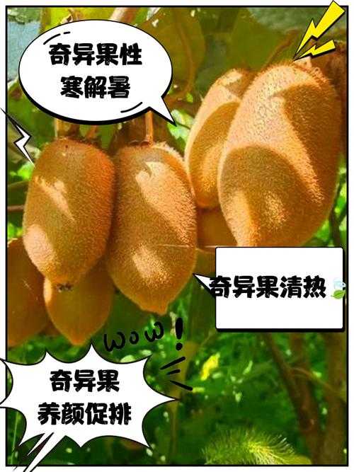 震惊！科研圈疯传的冷知识：什么水果容易写论文？