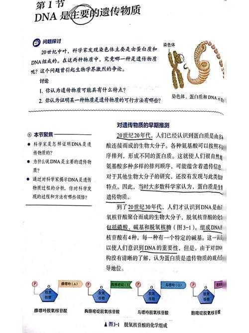 90%的学者都忽略的细节:论文行文特征是什么?揭秘学术写作的DNA