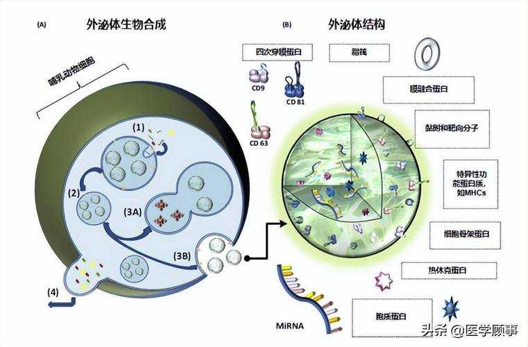 从审稿人视角反推:高质量论文的黄金结构藏在哪?