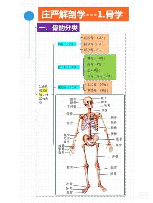 从零开始拆解：一篇合格学术论文的完整骨骼图