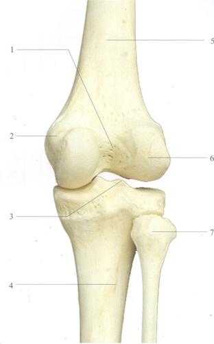 从零开始拆解：一篇合格学术论文的完整骨骼图
