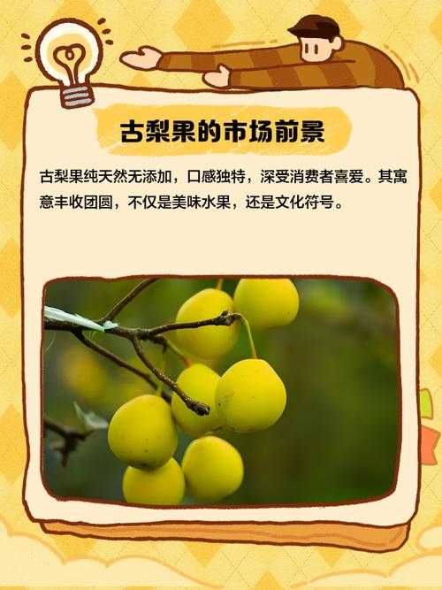 从水果摊到学术圈：黄梨英文怎么写论文文案的跨界研究