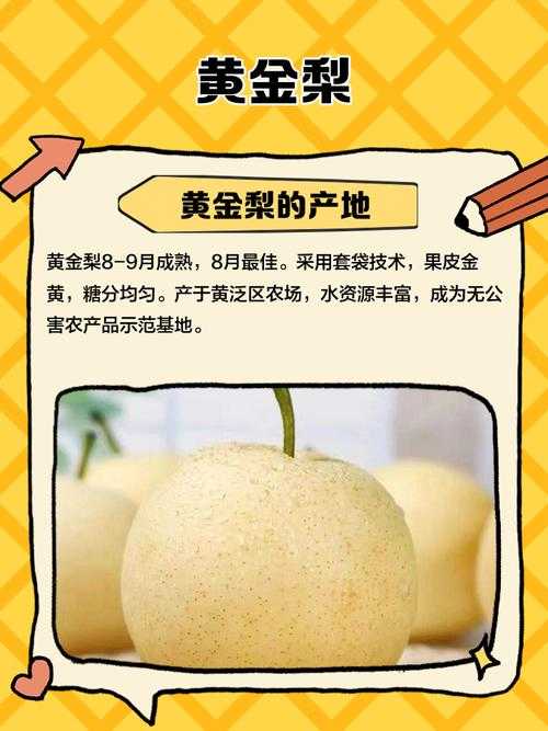 从水果摊到学术圈：黄梨英文怎么写论文文案的跨界研究