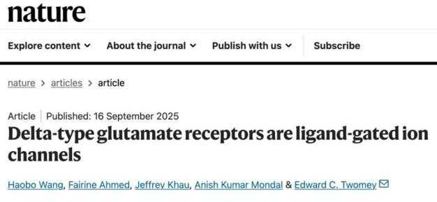 90%的学者都误解了！论文审核是什么？揭秘学术界的隐形守门人