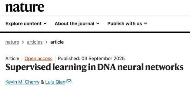 90%的学者都误解了！论文审核是什么？揭秘学术界的隐形守门人