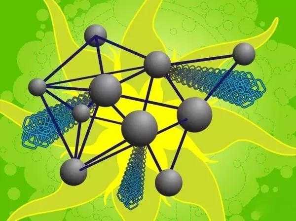 导师不会告诉你的秘密：毕业论文写些什么才能一击必中？