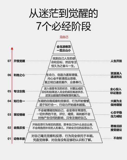 从迷茫到清晰：大学规划能写什么论文的7个突破方向