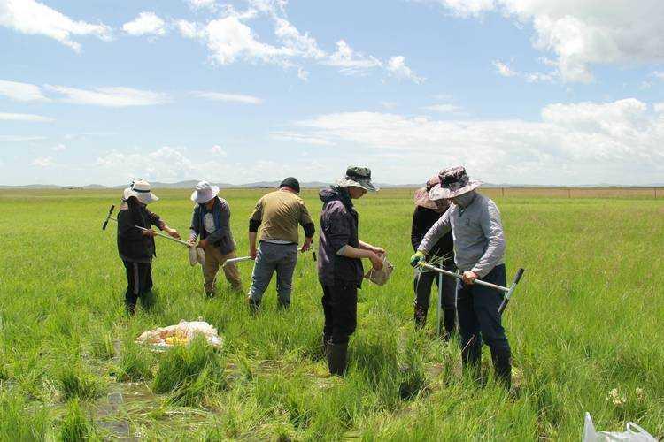 当审稿人皱起眉头：什么是干扰性论文及其对学术生态的隐形伤害