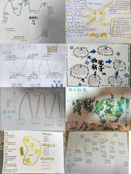 从骆驼到蝼蚁：祥子为什么堕落论文的深层解构