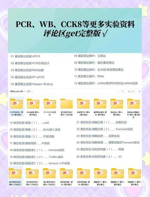 解密论文中的“sp”：一个让新手不再懵逼的老手分享