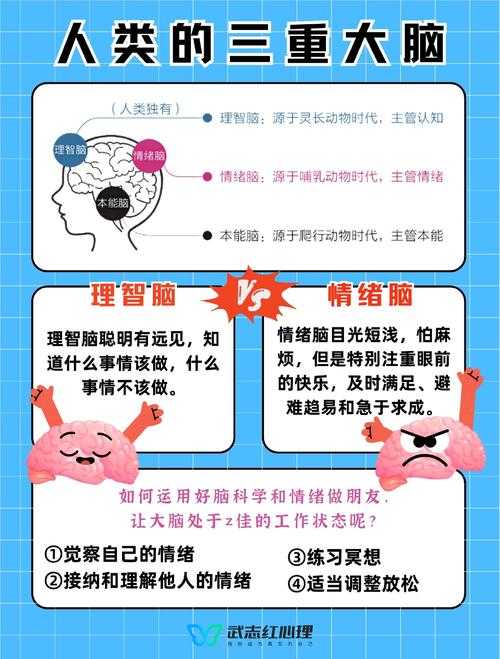 健康情绪之谜：我们如何用学术方法解码日常幸福？