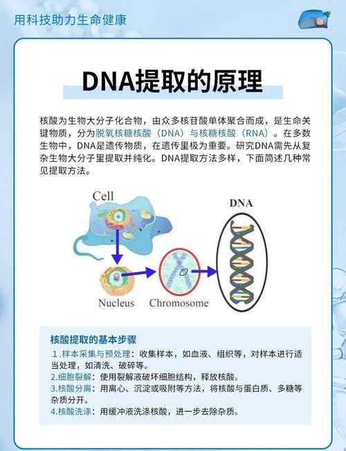 破解议论文的基因密码：论题定位的类型学探索