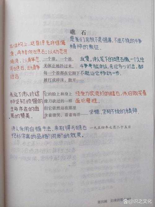 手写思维的温度：礁石议论文的认知科学与教学实践