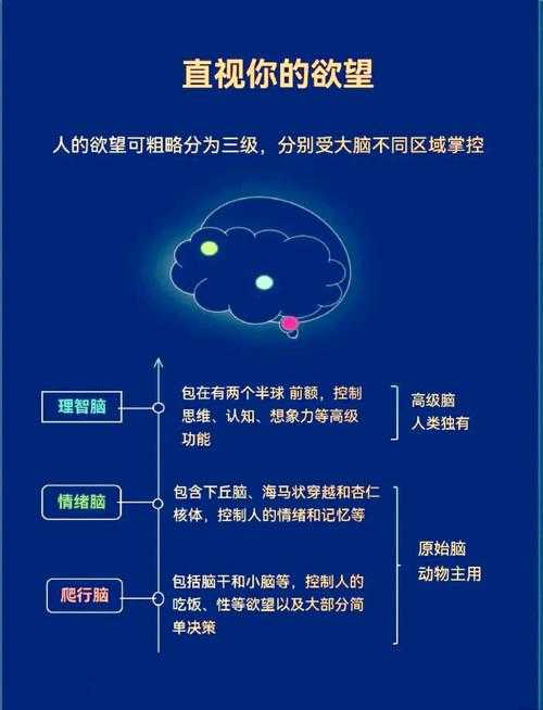 “观照下”在论文中的三重境界：透视概念本质与学术表达逻辑