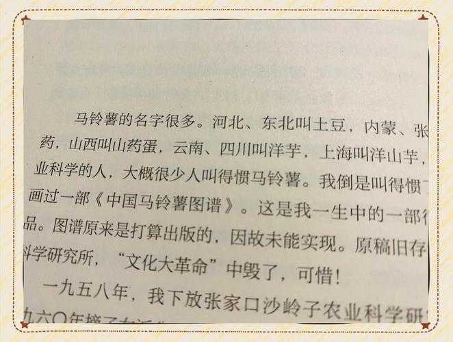 毕业论文马铃薯怎么写