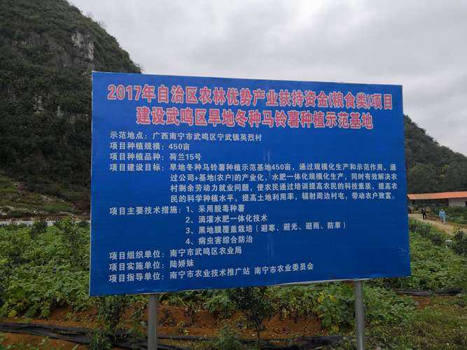 毕业论文马铃薯怎么写