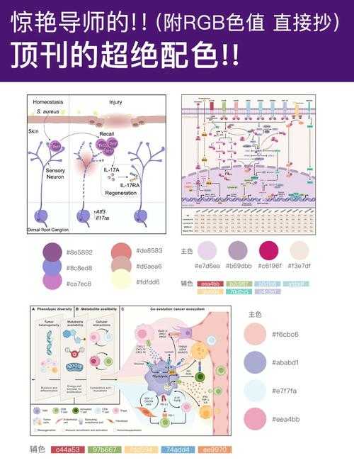 科研配色进阶手册：揭秘顶刊论文常用的六色配图法则