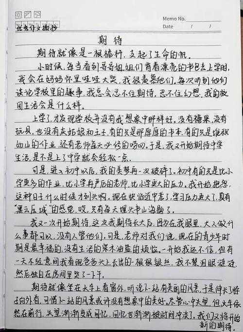 从评审视角剖析：申论文的真正期待是什么