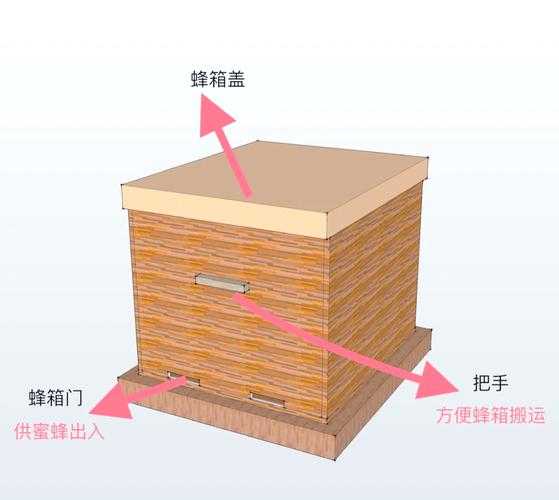揭秘：养蜂如何提高生产力论文的五个关键突破点
